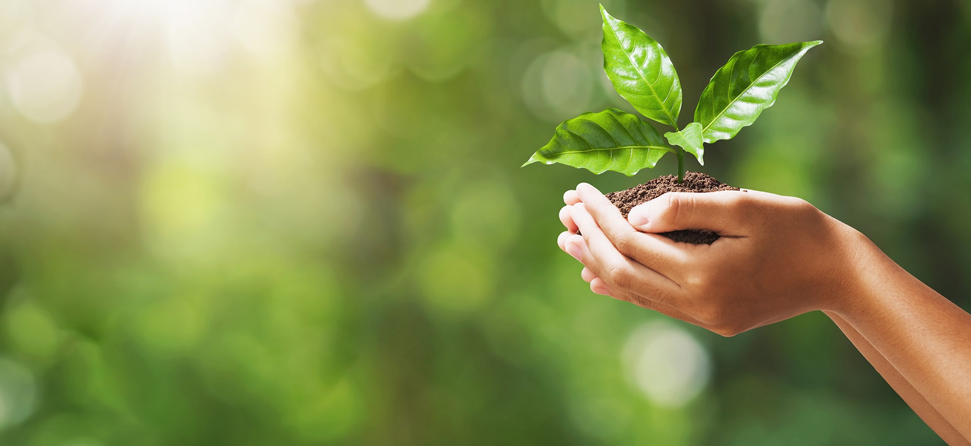 Teszt2 MET WEB Nyitóoldal Leány 1920X1080 01.4